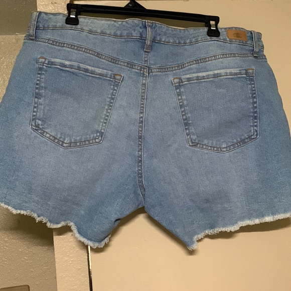 All for $15 Woman’s Size 16 shorts plus two tops size 20 . All NWT - Picture 3 of 14
